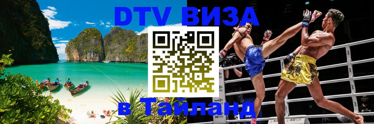 Оформление DTV визы под ключ: стоимость и тарифы, только загранпаспорт - 08.01.2026 